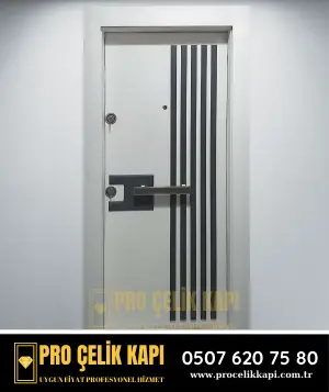 Bornova Çelik Kapı - Plus 3